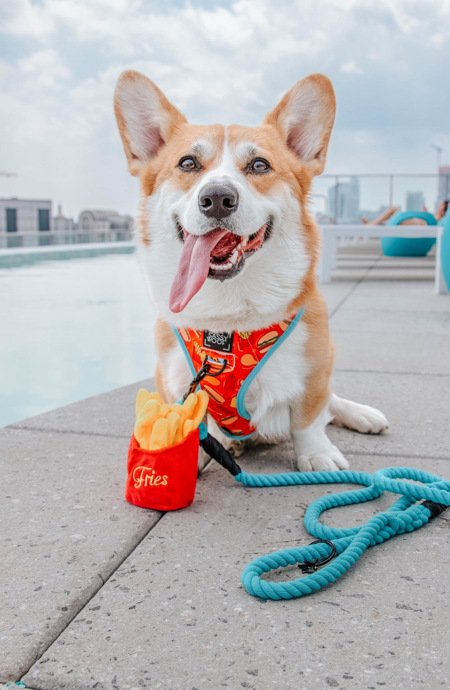 Dog Reversible Harness - One Hot Pupperoni