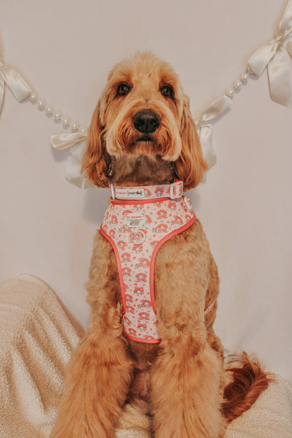 Dog Four Piece Bundle - My Melody™