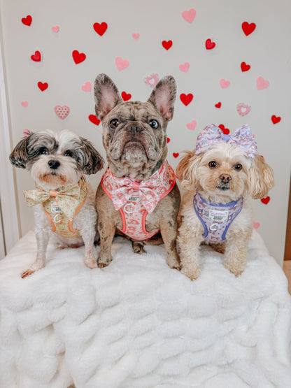 Dog Four Piece Bundle - My Melody™