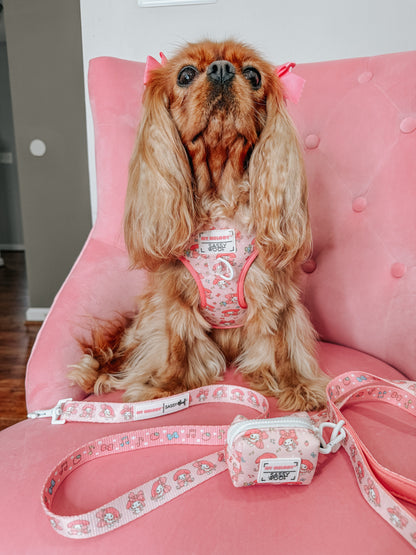 Dog Four Piece Bundle - My Melody™