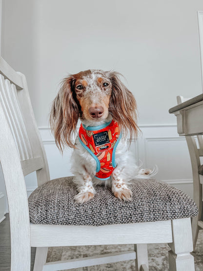Dog Reversible Harness - One Hot Pupperoni